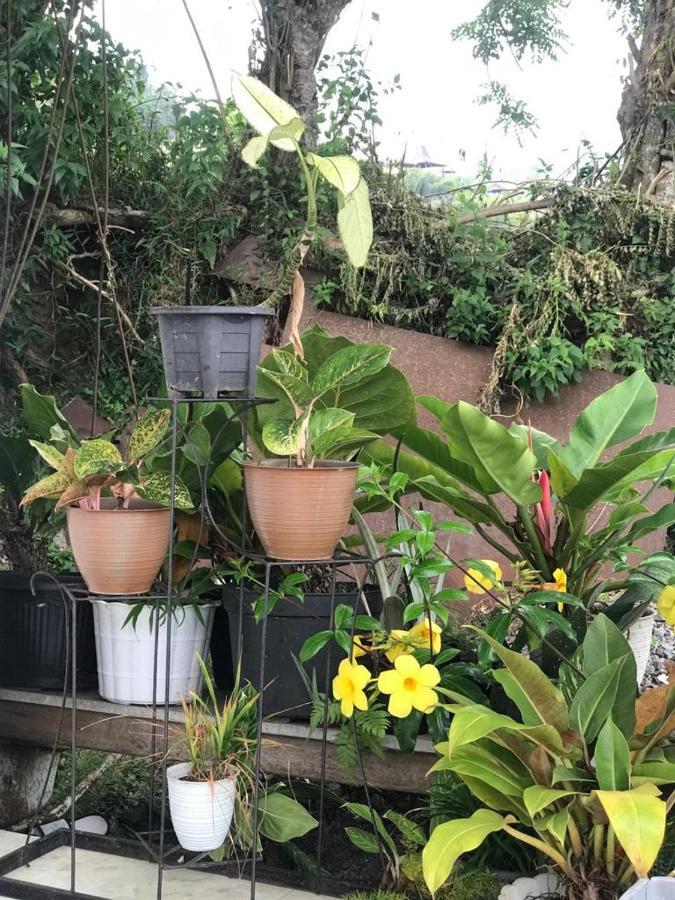 Jaya Hill Garden Hotell Kelimutu Eksteriør bilde